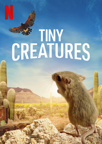Tiny Creatures
